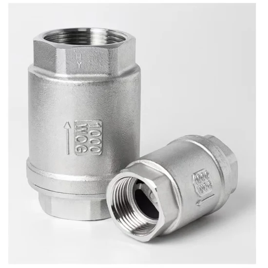 Durable Stainless Steel 304/316 BSPT/BSPP/NPT Threaded Vertical Non Return/Check Valve